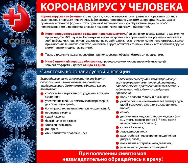 http://lubanles.by/assets/images/koronavirus-2020.jpg