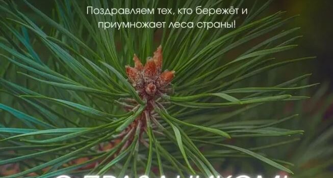 Дорогие коллеги!