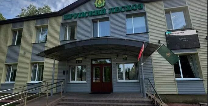 От переработки — к устойчивой прибыли