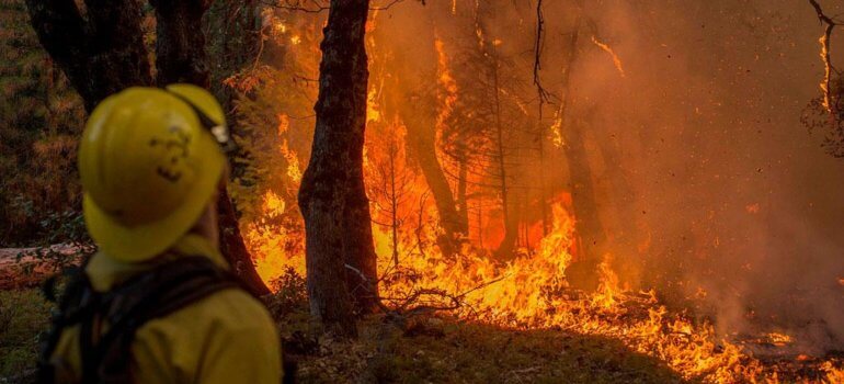 Осторожно, берегите лес от пожара.
