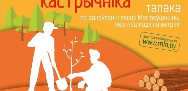 8 октября стартует акция «Аднавім лясы разам!”