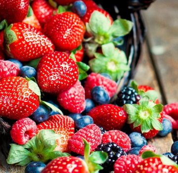 О сборе дикорастущих ягод