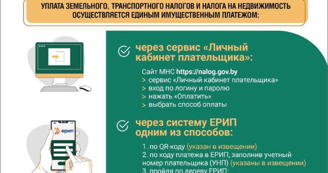 МНС информирует 17 ноября — срок уплаты имущественных налогов физическими лицами