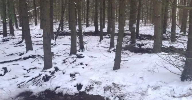 Приближение пожароопасного сезона!