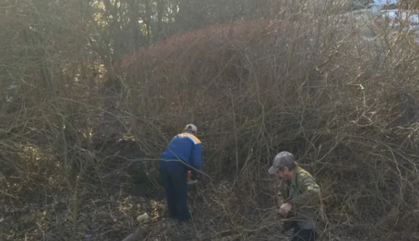 Субботник в Крупском лесхозе