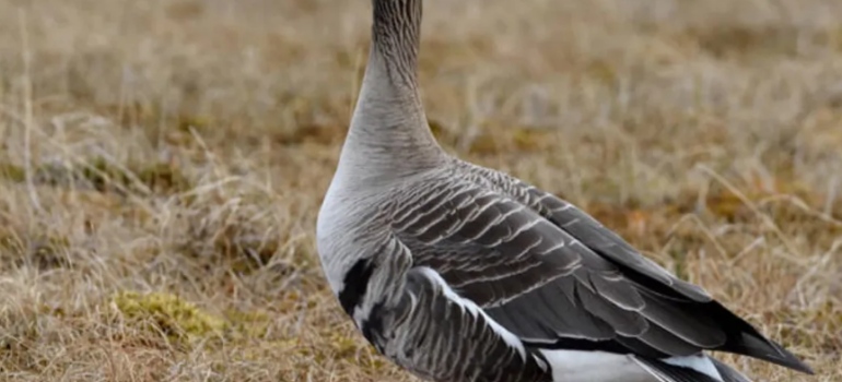 ГОРЯЧАЯ ПУТЕВКА НА ВЕСНУ!