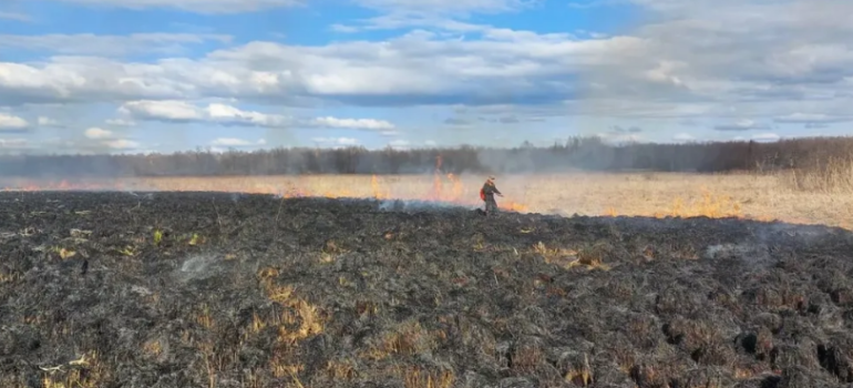 Огонь — враг леса!