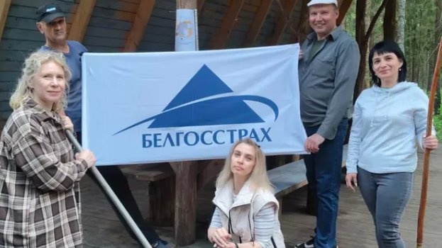 Помощь не только в страховании, но и в наведении порядка
