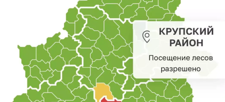 Крупский район — посещение лесов РАЗРЕШЕНО