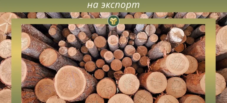 26.11.2025 (среда) пройдут биржевые торги ЛЕСОМАТЕРИАЛАМИ КРУГЛЫМИ на экспорт