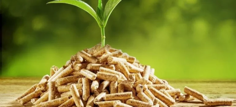 Всё о покупке пеллет по льготной цене в Крупском лесхозе