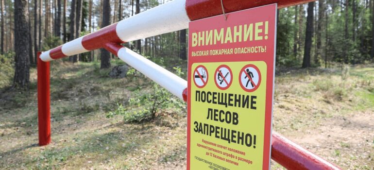 Можно ли рыбачить в период введения запретов и ограничений на посещение лесов?