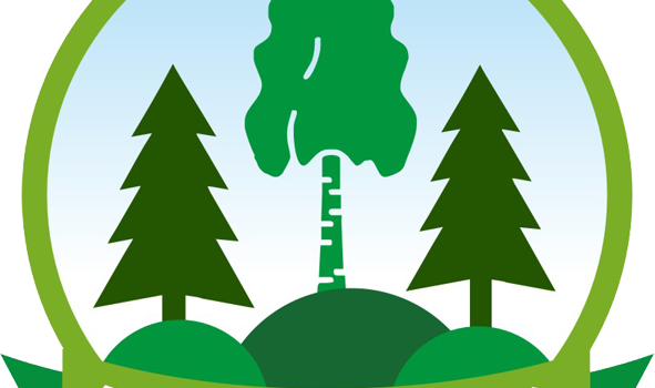 Акция «Чистый лес» пройдет в Беларуси 9 октября